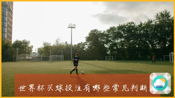 世界杯买球投注有哪些常见判断技巧与注意事项