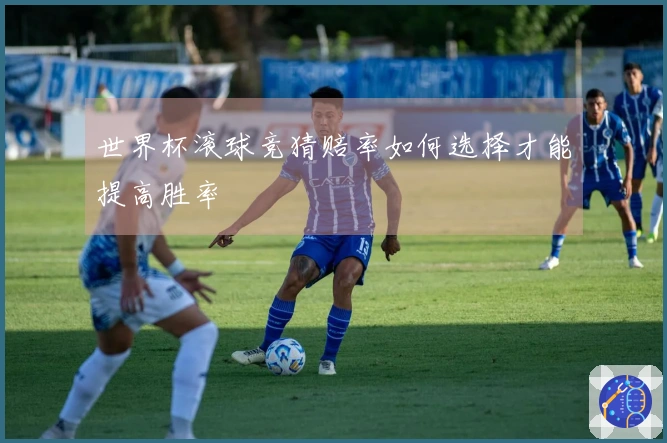 世界杯滚球竞猜赔率如何选择才能提高胜率
