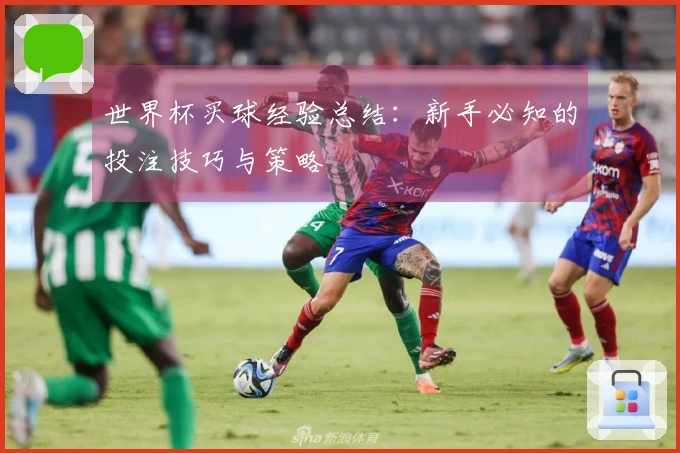 世界杯买球经验总结：新手必知的投注技巧与策略
