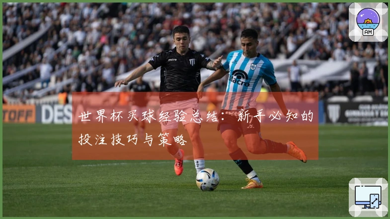 世界杯买球经验总结：新手必知的投注技巧与策略