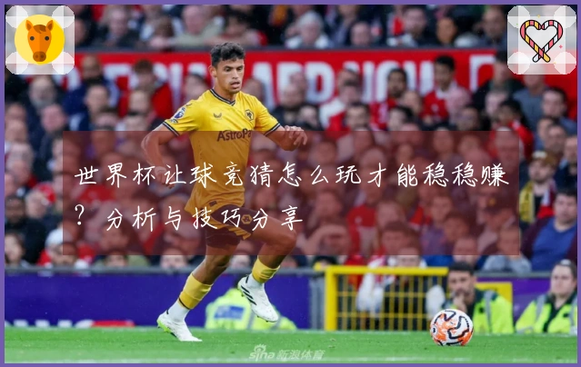 世界杯让球竞猜怎么玩才能稳稳赚？分析与技巧分享